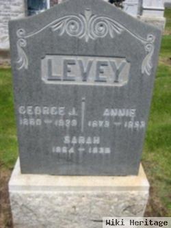 George J Levey