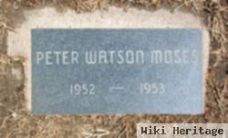 Peter Watson Moses