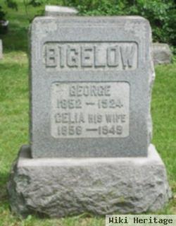 Francelia "celia" Hamilton Bigelow