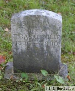 Sophia Baskerville