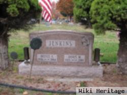 Doris M. Jenkins