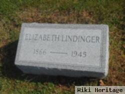 Elizabeth Lindinger