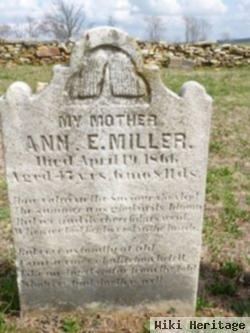 Ann E. Miller