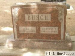 Leta L Busch