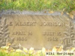 E Albert Johnson