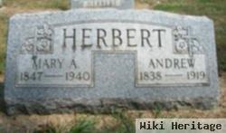 Andrew Herbert