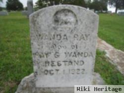 Wanda Ray Hestand