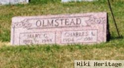 Mary G. Olmstead