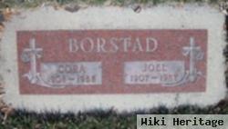 Joel George Borstad