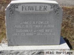 James Henry Fowler