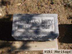 Cornelia Jane Henry Pavey