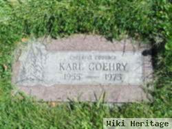 Karl James Goehry