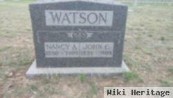 Nancy Ann "nannie" Haley Watson