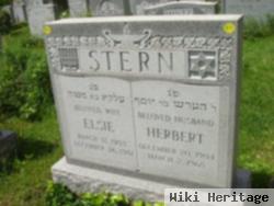 Herbert Stern