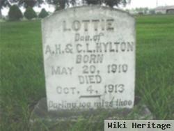 Lottie Hylton