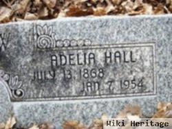 Adelia Hall Snow