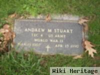 Andrew M Stuart