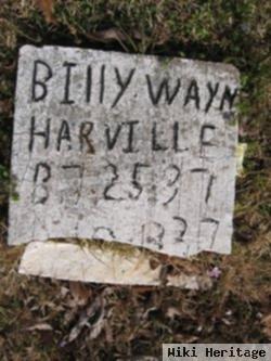 Billy Wayne Harville