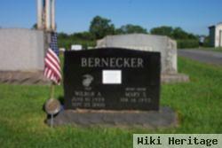 Mary S. Bernecker