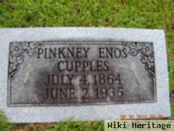 Pinkney Enos Cupples