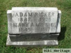 Mary Ann Reeder Ricker