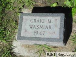 Craig M. Wasniak