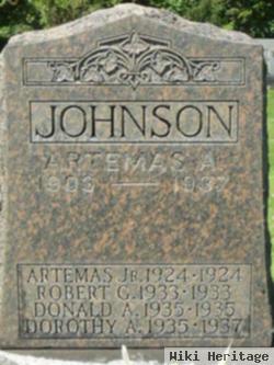 Robert G Johnson