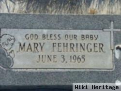 Mary Fehringer