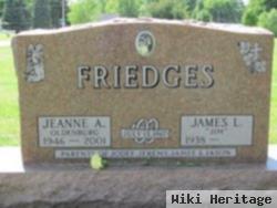 Jeanne A Oldenburg Friedges