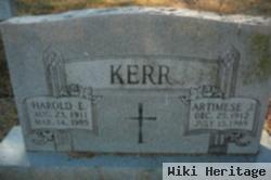 Harold E Kerr