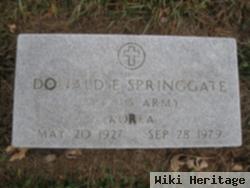 Donald E. Springgate