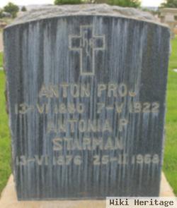 Anton Proj