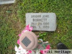 Sandra Jean Burkett