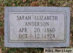 Sarah Elizabeth Johnson Anderson