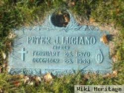 Peter J Luciano