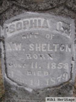 Sophia L. Marshall Shelton