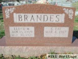 G Fae Brandes