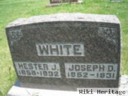 Hester Jane Cunningham White