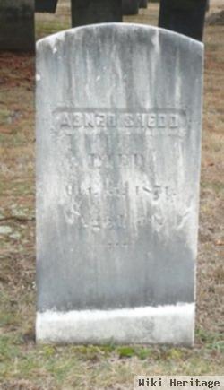 Abner Shedd