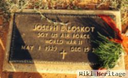 Joseph E Loskot