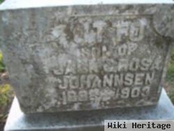 Otto Johannsen