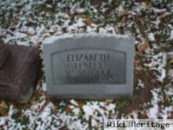 Elizabeth Koenig Lesley