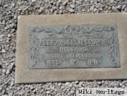 Alexander J Brown