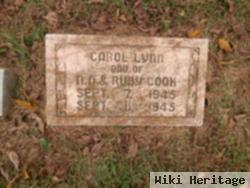 Carol Lynn Cook