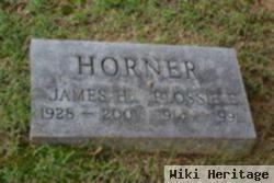 James H Horner