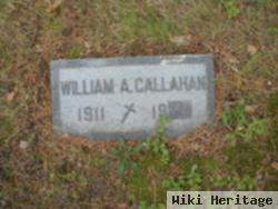 William A Callahan