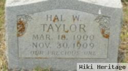 Hal W. Taylor