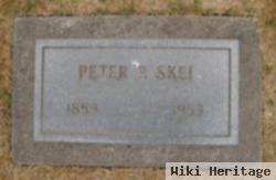 Peter Peterson Skei