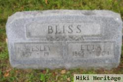 Newton Wesley Bliss