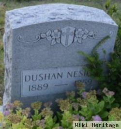 Dushan (Dan) Nesich